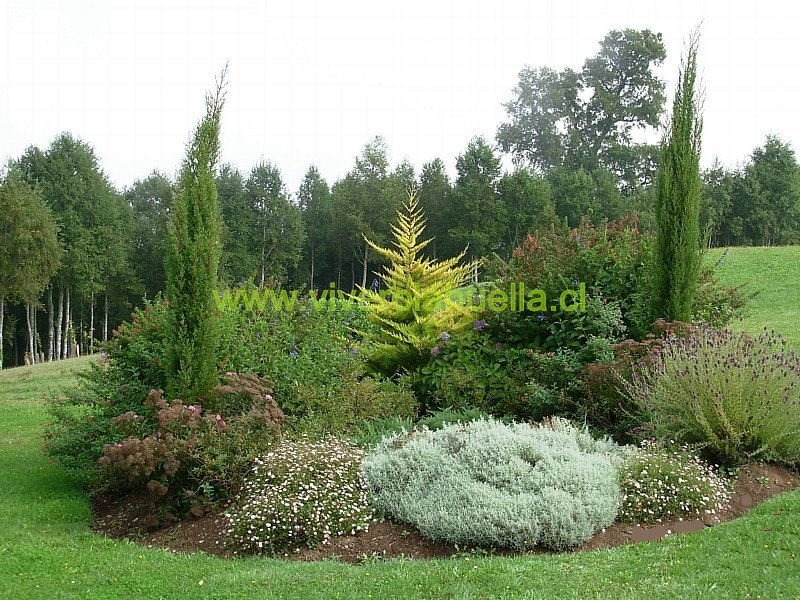 Jardines con atractivo todo el año...